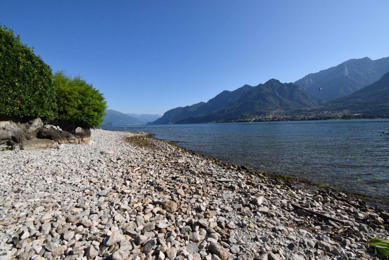 Villa Mimosa Bellagio Wild Flowers Oliveto Lario 外观 照片